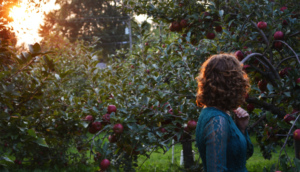 1200px marissa-price-appletrees-unsplash