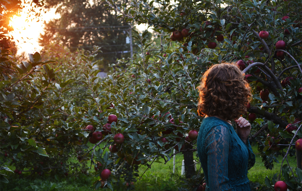 1200px marissa-price-appletrees-unsplash